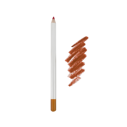 BTF Professional Lip Liner Shade No 22