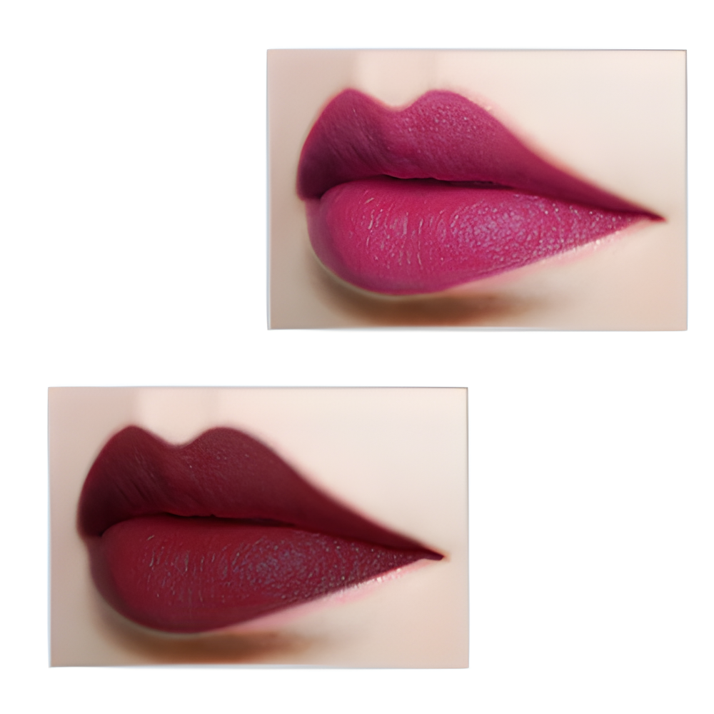 BTF Professional Lip Liner Shade No 16